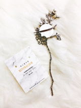 Kylie (Staff from So Not Size Zero) review photo