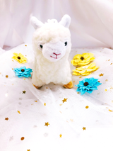 Kylie (Staff of So Not Size Zero) review photo