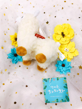 Kylie (Staff of So Not Size Zero) review photo