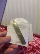 Ariana review photo