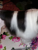 Linsey review photo