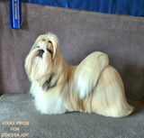 Varvara Mossy review photo