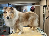 Nan B. review photo