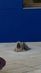 Nelson Twigg review photo