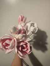 Veronica Arsintea review photo