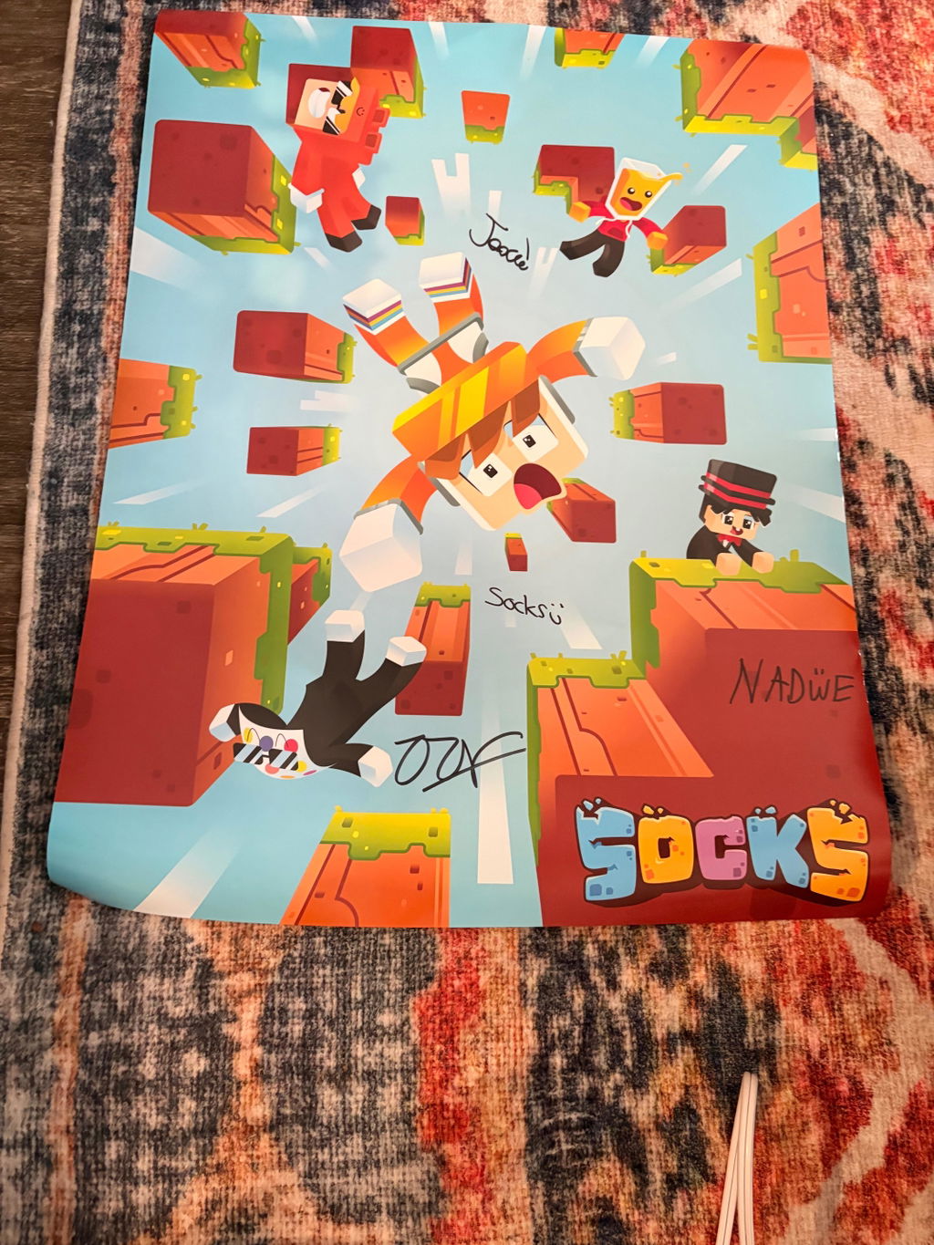 HAND SIGNED Skyblock Poster!