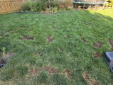 Review photo 1 by Jamie D.