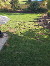 Review photo 2 by Jamie D.