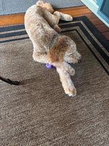 Marlane Sherman review photo