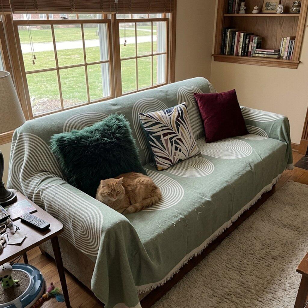 Customer photo from Carzee Goodbun showing the Geometric Wave Couch Blanket on their sofa