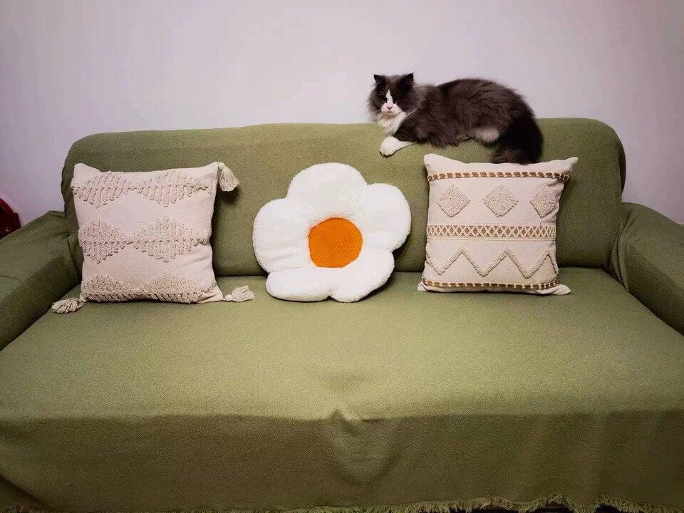 Customer photo from Alison Pearson showing the LuxeGuard Waterproof Couch Blanket on their sofa