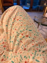 Adina review photo