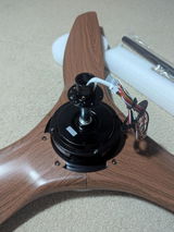 D.D. review photo