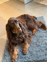 Bruich review photo