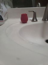 Sohimi Customer review photo