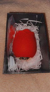 BritSpice review photo