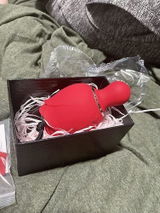 Ren review photo