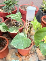 Gurminder Singh Sandhu review photo
