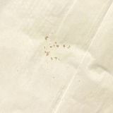 斐 加藤 review photo