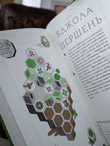 Oleksandr review photo