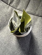 Amazon Customer review photo