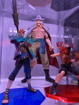 T.S. review photo