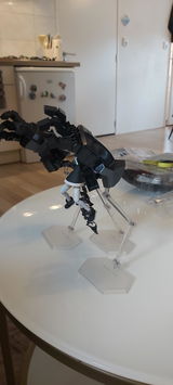 Carlina Z. review photo