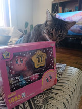 Lucas P. review photo