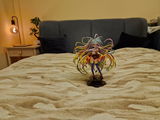 Michal Z. review photo