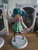 S.R. review photo