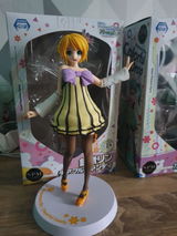 S.R. review photo
