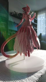 Tamas G. review photo