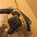 Pablo J.S.G. review photo
