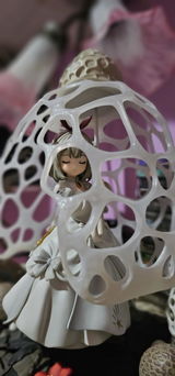 ana c.s.m. review photo