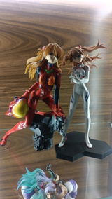 m.s. review photo