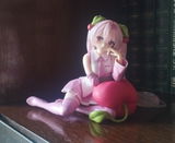 Vera H. review photo