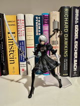 Andrew K. review photo