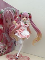 Svea H. review photo