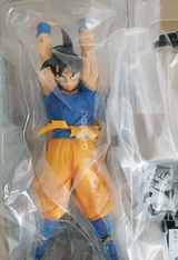 Mario G.P. review photo