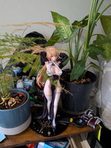 Kien N. review photo