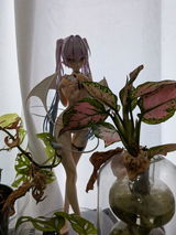 Kien N. review photo
