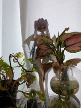 Kien N. review photo