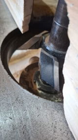 Cosmin Urs review photo