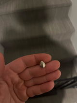 Flynn review photo