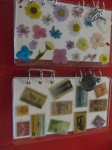 Teri Alberding review photo