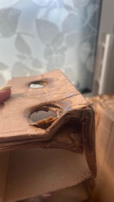 Freland Guylaine review photo