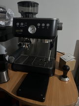 Vasile Birca review photo