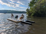 Libradogtraining review photo