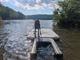 Libradogtraining review photo