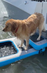 Sea junkies review photo
